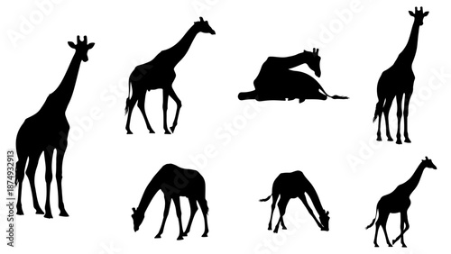 Group of 2 Objects (12).eps