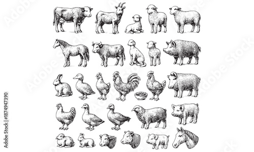 Farm Animals Icons Set Cow Horse Sheep Chicken Rooster Livestock Vector Illustration