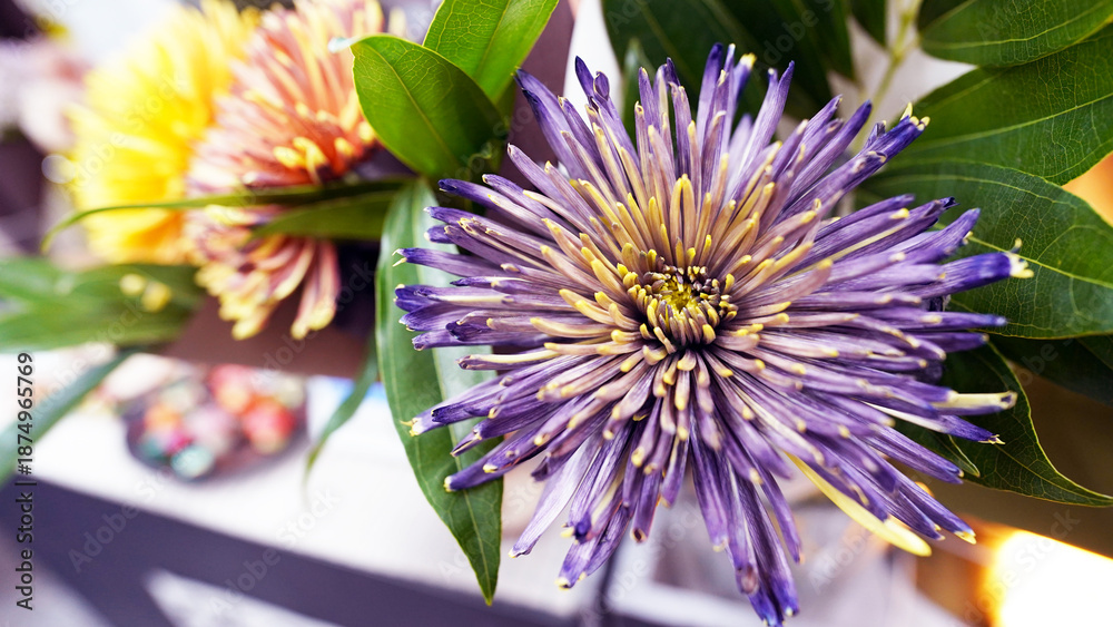 Obraz premium Vibrant Chrysanthemum Market Bouquet with Mixed Colors