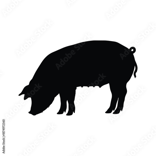 black pig silhouettes in various poses like grazing isolated on white