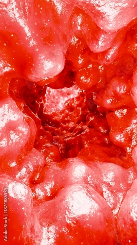 Bowel Colorectal, Colon waving, vaginal muscle movement, pelvic floor anatomy, Pelvic floor muscle, Pelvic organ prolapse, Kegel exercises, intestine inflammatory bowel Disease, colonoscopy, 3d render