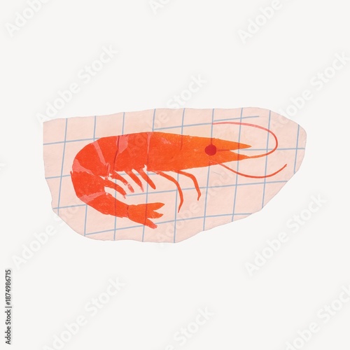 Vibrant shrimp illustration on grid