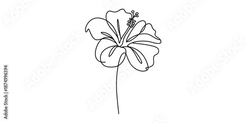 A minimalist single continuous line drawing capturing the simple beauty of a hibiscus flower Vector, illustration