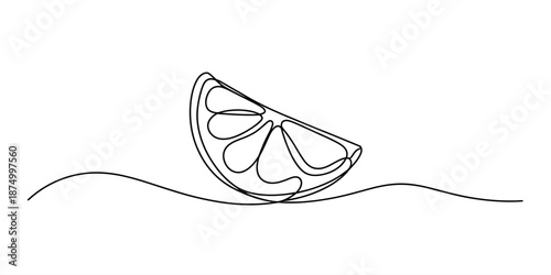 Continuous line art illustration of a lemon or lime slice on a white background Vector, illustration