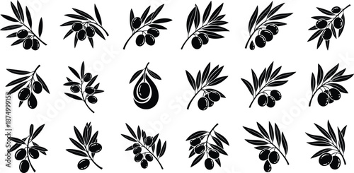 Olive branch collection with leaves and fruits, ideal for Mediterranean themed decoration elements