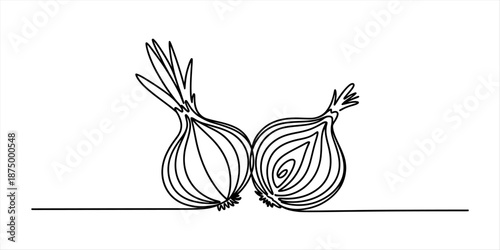 Continuous line art drawing of two onions, one whole and one sliced open, on a white background Vector, illustration