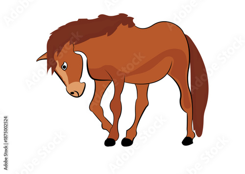 Horse Vector Vector Image  
