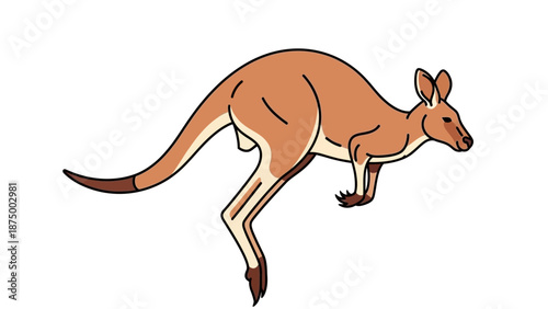 Illustration of a jumping kangaroo in mid-air with detailed features.