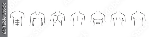 Male torso and chest anatomy icon set – editable outline symbols of abs, pectoral, muscle, fitness and body structure