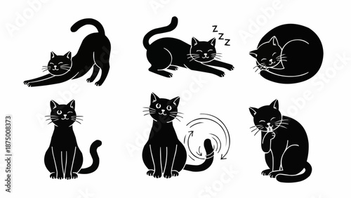 Collection of Black Cat Poses and Actions.