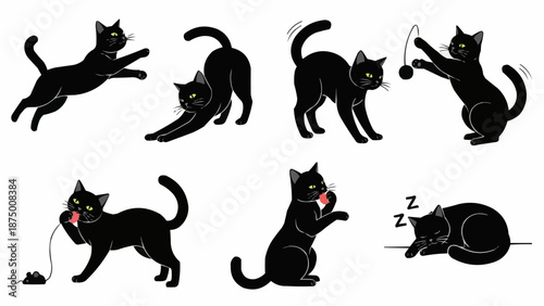 Collection of black cat poses and actions illustration.