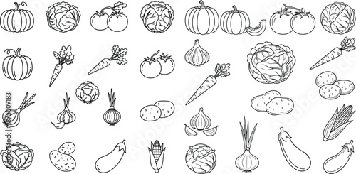 Outlined vegetable icons collection, including pumpkins, cabbage, potatoes, eggplant, and corn, on the white background