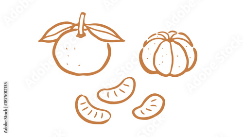 An illustration of a whole orange and a pumpkin with sliced orange pieces