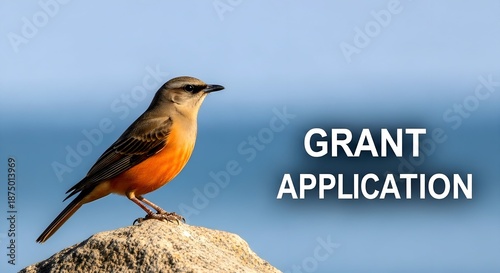 Rufous Scrub Robin perched atop a rock with 
