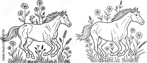 Running horses outlines with flowers and grass, linear drawing for coloring book