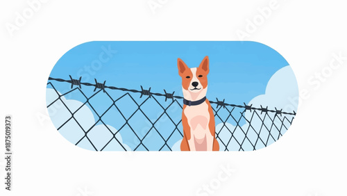 A contented orange and white dog sits before a chain-link and barbed wire fence under a cloudy sky