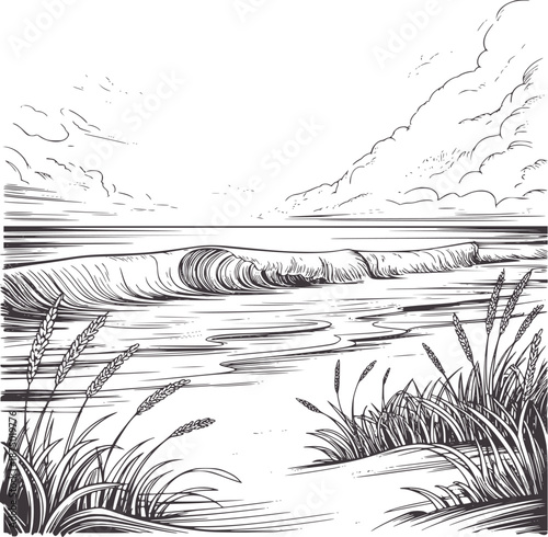 Black and wave with coastal grasses and mountainous horizon ocean water