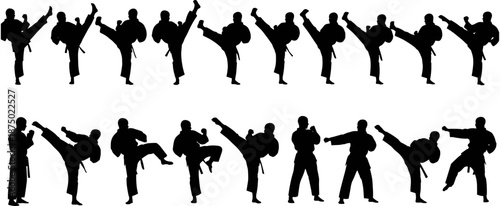 Set of martial arts silhouettes featuring karate and taekwondo fighters performing high kicks, punches, and defensive stances on white background.