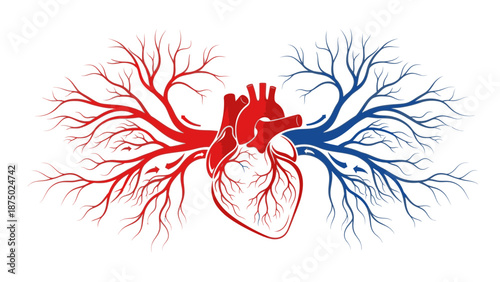 Anatomical illustration of a human heart with red and blue blood vessels on a white background, showcasing the circulatory or Sistem Peredaran Darah system.