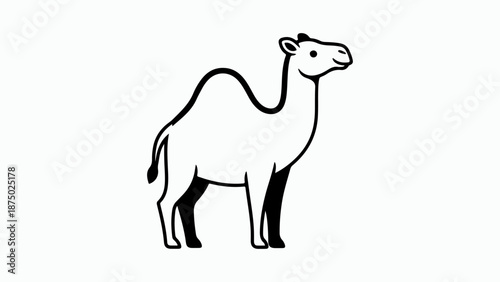 A simple, clean black and white line drawing of a camel standing on a white background.