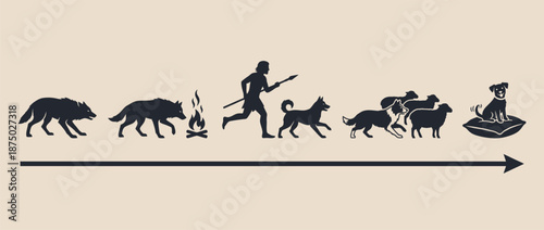 Evolution of dogs from wild wolves to domestic pets vector illustration