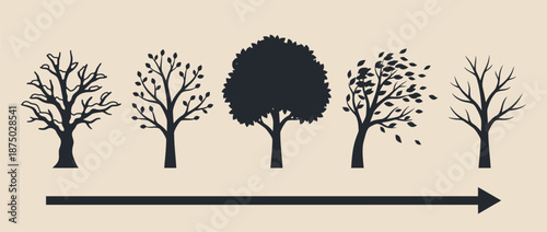 Tree life cycle showing four seasons silhouettes vector illustration