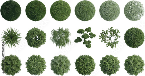 Top view blue trees and bushes collection, abstract landscape foliage elements, nature symbols, aerial forest shapes, environmental design assets, vector style botanical set