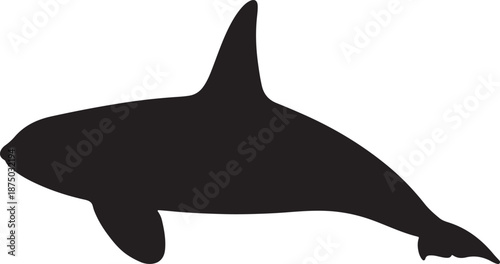 Orca Silhouette – Sleek Marine Predator Vector Icon
