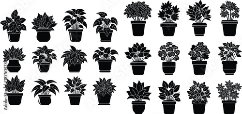 Set of houseplant silhouettes in pots featuring different leaf shapes, indoor plant icons
