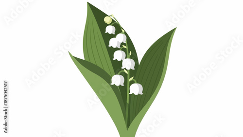 A simple, textured illustration of a lily of the valley plant with white bell-shaped flowers