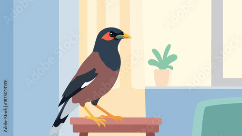 A stylized illustration of a myna bird perched on a stool inside a brightly lit room with a window
