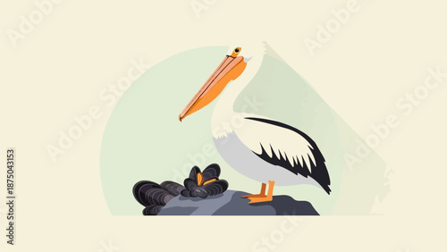 A stylized illustration of a pelican standing on a rock with mussels, on a simple background