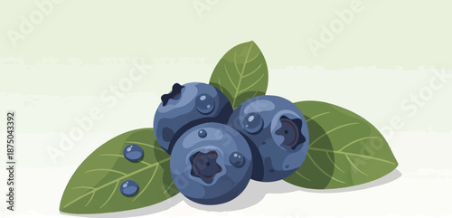 A stylized illustration of three plump blueberries with water droplets, resting on green leaves