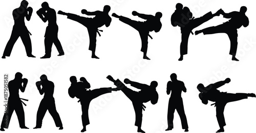 Silhouettes of martial artists practicing kicks and fighting stances, combat sports training concept, karate and kickboxing poses isolated on white background for fitness and self-defense design.