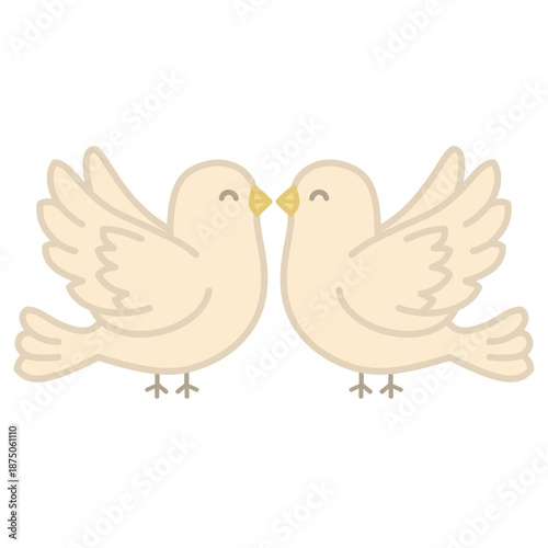 two pigeons on a white background