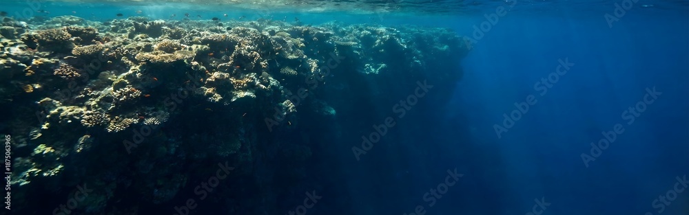 Fototapeta premium Deep Blue Ocean with Vibrant Coral Reef Wall and Sunlight