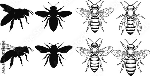 Cute cartoon red ants climbing on a brown anthill mound with blooming pink cosmos flowers vector illustration isolated on white background for design.