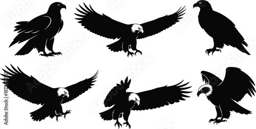 Eagle silhouette set, bald eagle in flight and perched, predatory birds hunting, majestic raptors wing spread, cad drawing flat vector illustration