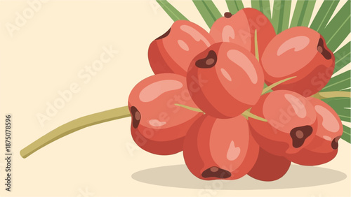 Illustration of a cluster of ripe, red berries with dark tips on a green stem with palm-like leaves