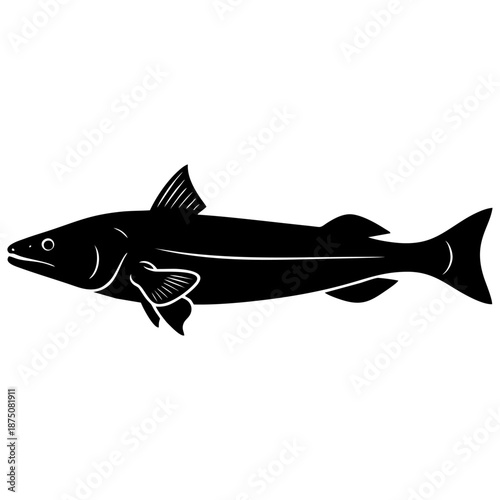 Illustration of a Fish Silhouette with Detailed Fins and Tail