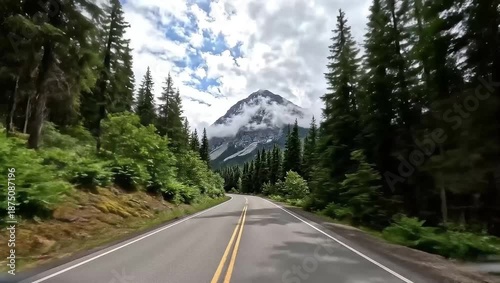 Mountain Road Driving through Evergreen Forest
