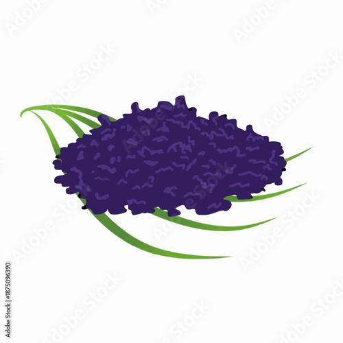 Traditional Indonesian Fermented Black Sticky Rice Vector Design for Culinary Concepts