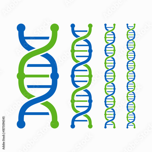 DNA helix structures in different sizes and colors.
