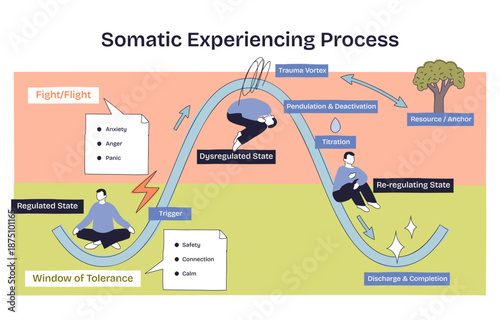 Somatic experiencing process flow mapping regulation to dysregulation and recovery via a wave path, key objects, curved track, state labels, seated figures. Doodle style diagram