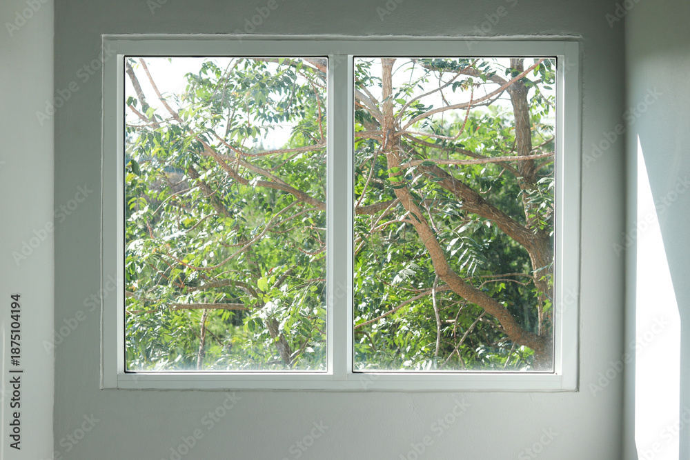 Fototapeta premium Sunlight shines through a white-framed window, revealing lush green tree branches outside and casting soft shadows on a minimalist interior wall, creating a calm and natural home atmosphere.