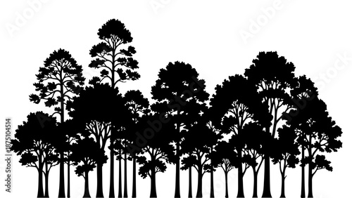 A dense forest silhouette featuring various tall trees against a white background isolated on white background, Vector, illustration