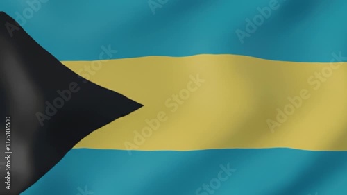 Bahamas national flag waving animation background video 