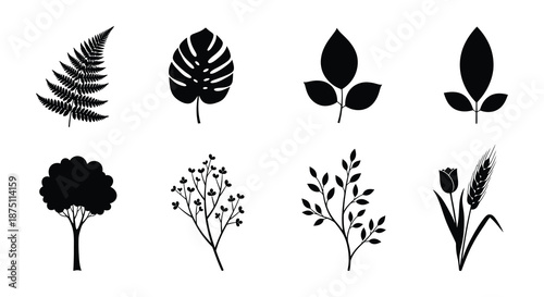 Collection of various plant silhouettes on white background
