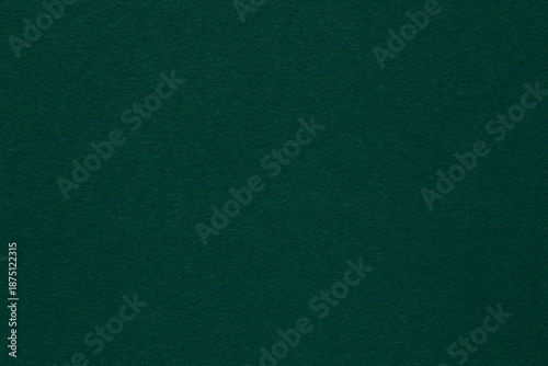Wallpaper Mural blank background: close up of dark green textured craft paper Torontodigital.ca