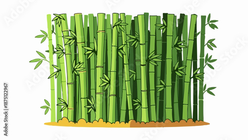 Verdant bamboo stalks, a natural screen with segmented green stems and sparse leaves, rise from sandy ground